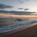 연곡사선 이미지