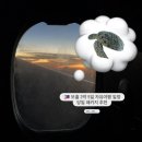 ㈜레저스테이션리조트 | 보홀 자유여행 3박 5일 일정 가볼만한 곳 투어 맛집 추천 (여행경비 포함)