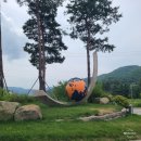 세이지우드CC 네이버블로그