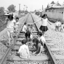 서신교 | 전북일보 창간 60주년 전북의 자화상2