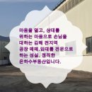 주촌공인중개사사무소 이미지