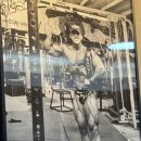 [서울/강남] 올드스쿨 헬스장, 올라잇정신 올림피아 박재훈 선수님 훈련소 :: 짐다운GYM (짐다운짐)