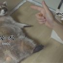 산도록 이미지