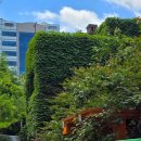 낭만여인숙 이미지