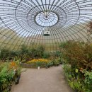 나비공원　 이미지