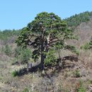 남원 개령암지 마애불상군 | 남원시 - 퇴수정, 개령암지 마애불상군