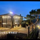 디나우스 네이버블로그