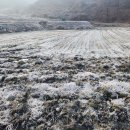 호월경로당 이미지