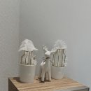 제이나니 이미지