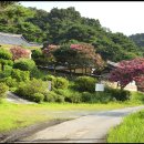 관동묘려 이미지