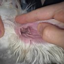 어울동물의료센터 이미지