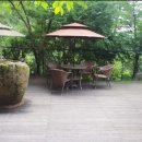 둥지치킨 이미지