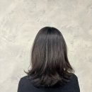 대치동 미용실 무이 대치본점 - 범진 수석 디자이너님 커트 후기