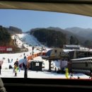 용인대 명문 태권도장 이미지