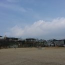 고달리다리 이미지