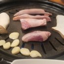 돼지먹고행복하소