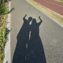 바글 | 경북 영천가볼만한곳 영천 작약 꽃축제 꽃밭위치 / 영천 생태지구공원 보라유채꽃