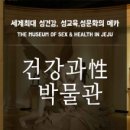 건강과성박물관 제주 이미지