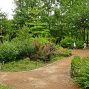 푸른수목원 이미지