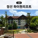 하이원콘도미니엄사우나 | 강원도 정선 숙소 추천 하이원리조트 마운틴콘도 스위트룸 수영장 사우나