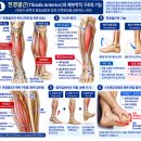 전경골근 스트레칭 수동 스트레칭과 PNF 기법으로 정강이 앞쪽 근육 관리하기 이미지