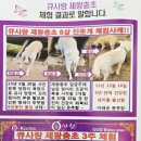 큐사랑공간