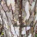 열린세탁마트 | 2025 산티아고 순례길 : 비야마르코(Villamarco) → 만실라 데 라스 물라스(Mansilla de las Mulas)