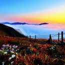 지상철 공단역 이미지