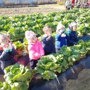 꽃초롱자연학습장 이미지