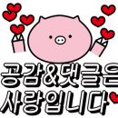8900이면도야지 이미지