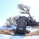 대궁 Daum카페