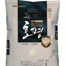 강진-17 프레시안