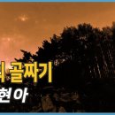 정든목장 이미지