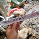BHC 신녕점