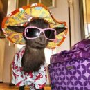 시간의 온기 이미지