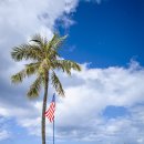 와이키키 이미지