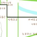 통일로 금촌농장 Daum카페