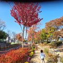 쌍둥이어린이공원 이미지