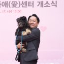 예뻐할개