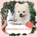 369 | 강아지 아토피 보습제 추천! 닥터아나 강아지 하이드레이팅 3-6-9 오메가 오일 바르는 오메가369 후기