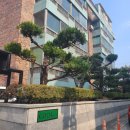 뽀얌 | [광주] 동명동 카페 코다, 뽀얌과자점 후기