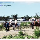 서광자동차랜드