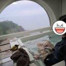 피스하우징(평화주택) 이미지