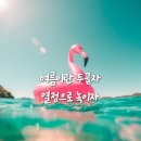 필살 합기도 이미지