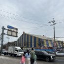 동춘 | [대부도] 데이트, 놀거리 '동춘서커스' 관람 후기(연휴방문)