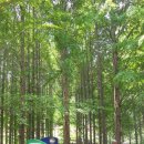 임학주유소 이미지