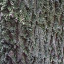 대암약수터 이미지