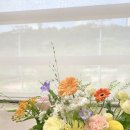 싱그러운 여름 꽃 화병꽂이 이미지