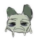 동해복국 | [일품복국] 강원도 동해 일품복국 복어요리 맛집(?) 일품복국 솔직후기