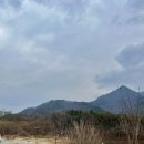 중원농협주유소 이미지